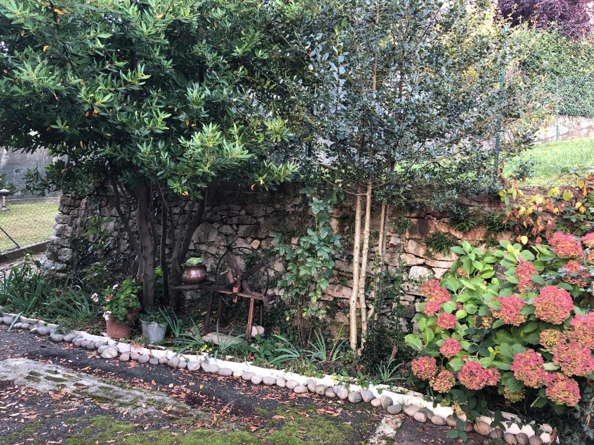 La Casa Verde B&B Trivero Exteriér fotografie